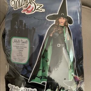 Wizard of Oz Wicked Witch Halloween Costume
